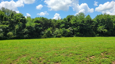 5 Mount Lebanon Church Rd