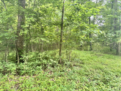 270 Shadybrook Ln