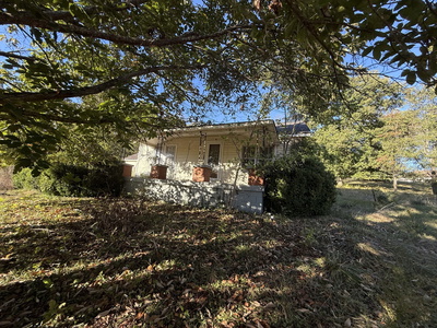 1535 Springfield Hwy