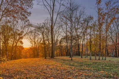 0 Burke Hollow Rd