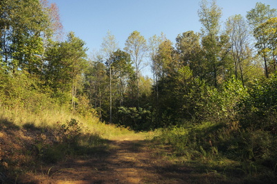 5845 Turkey Creek Rd