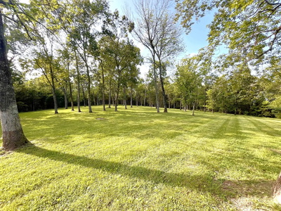 261 Blackbird Rd