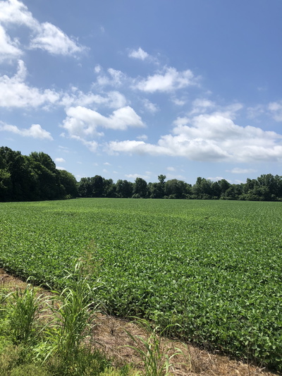 Exterior view of 0 Duncan RD in Manchester, TN