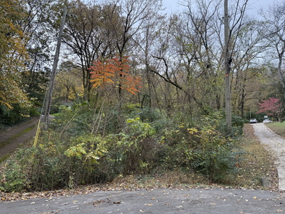 215 Forrest Valley Cir