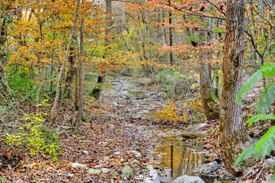 0 Rock House Hollow Road