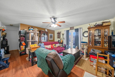 374 Jack Miller Blvd