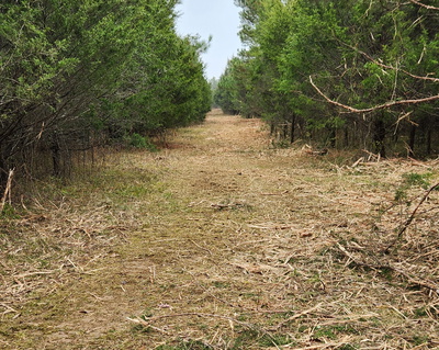 4230 Peytonsville Trinity Rd