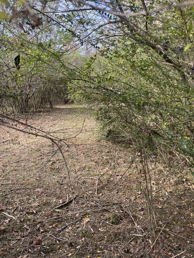 Exterior view of 3371 Freeman Hollow Rd in Goodlettsville, TN