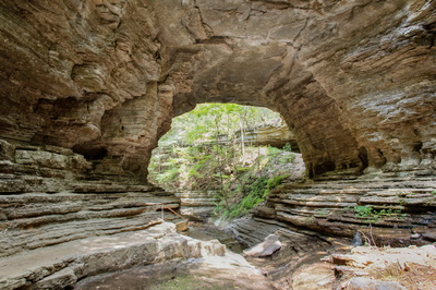 299 Natural Bridge Park Rd
