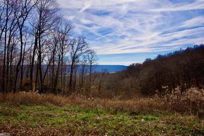 323A White Oak Flatt Rd