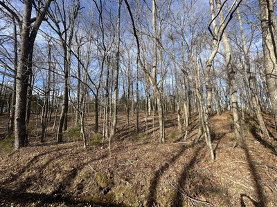 512 N Happy Hollow Road