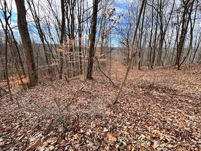 61 Old Hickory Place