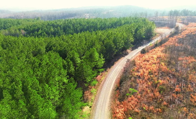 Exterior view of 31 Ivy Hollow Ln in Stewart, TN