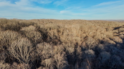 1843D Garrison Branch Rd