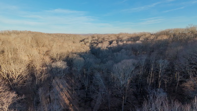 1843D Garrison Branch Rd