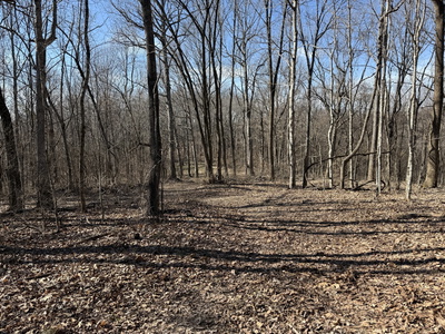 0 Hester Beasley Rd Lot 1