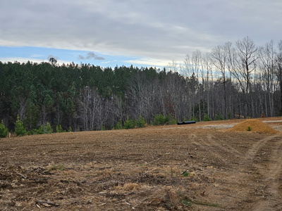 0A Waynesboro HWY