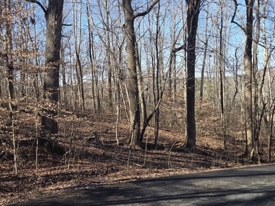 0 Westwood Dr Main St