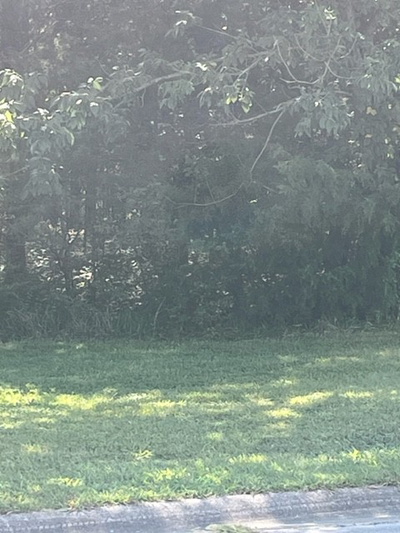 1007 Pleasant Grove Pl