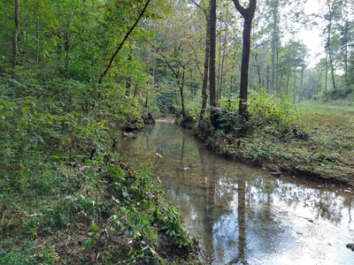 Exterior view of 7500 Antioch Road in Smithville, TN