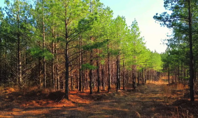 Exterior view of 18 Maple Road in Stewart, TN