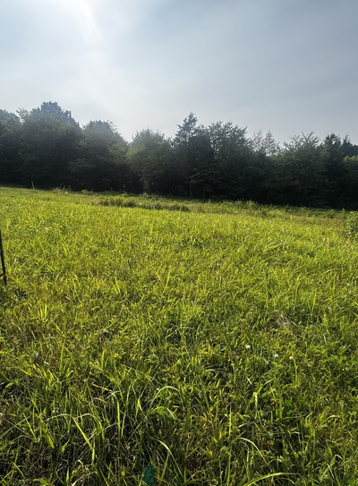 6481 Kelly Willis Rd