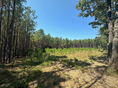 586 Seiber Ridge Rd