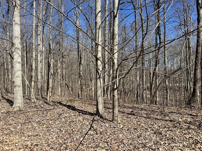 297 Tennis Center Drive