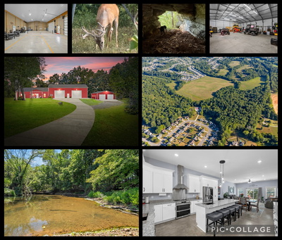 1539 Cedar Springs Cir