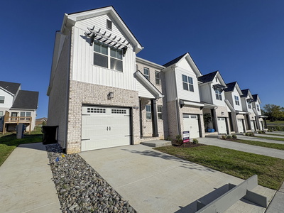 1331 Halter Park Dr lot 382