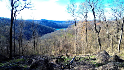 0 Lola Dr Lots 213 & 237