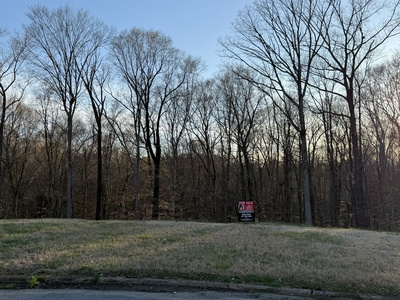 168 Steeple Ridge Way