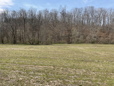 0 Dutch Creek Rd