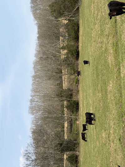 6 N Lick Creek Rd