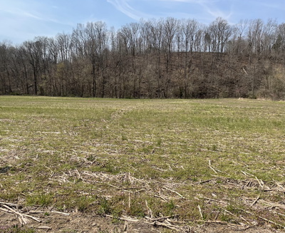 0 Dutch Creek Rd
