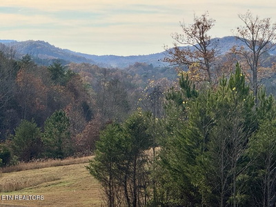 Exterior view of 1 Three Point Rd in Vonore, TN