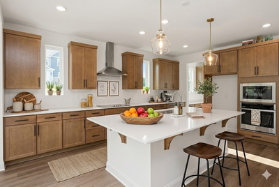 1559 Oaks Springs Drive