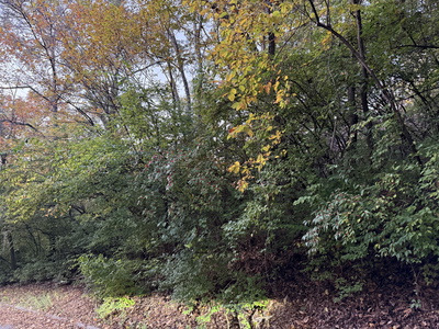 1332 Oakleigh Hill Drive