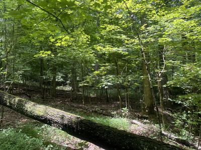 1535 Mount Olivet Rd