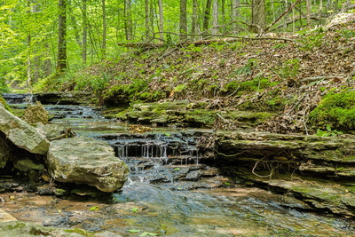 1 Crocker Springs Rd