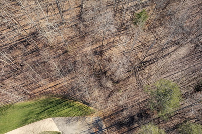 0 Plantation South Drive