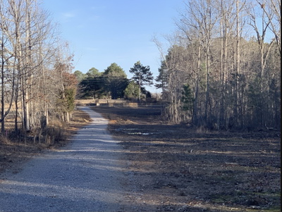 2 Summertown Hwy