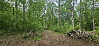 2225 Caney Branch Rd