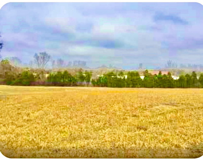 0 N Old Mt Juliet Rd