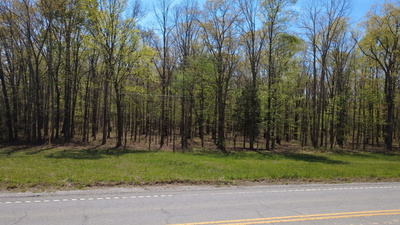 0 Summertown Hwy