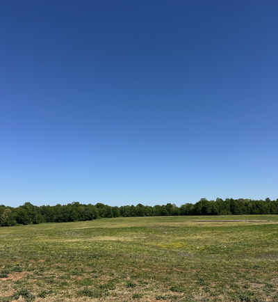 2161 Highway 259