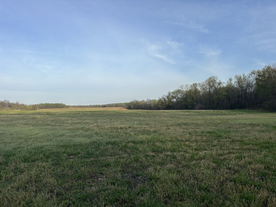 2121 Highway 259
