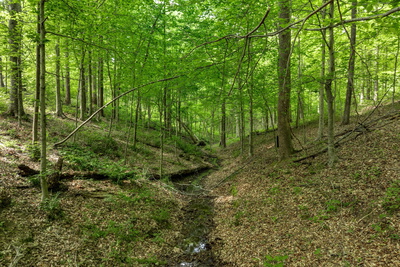 5675 Natchez Trace Rd