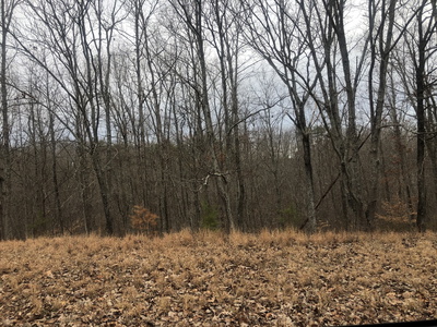 99 Deepwood Dr