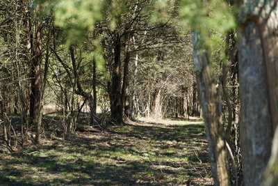 999 Old Lewisburg Hwy Tract 1